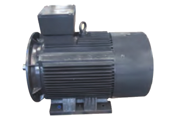 高能效专用电动机